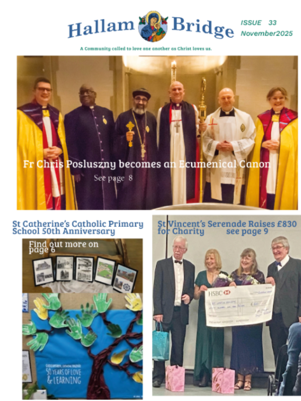 Hallam Bridge – November 2025 – #033