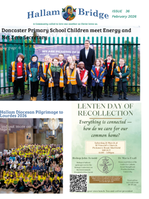 Hallam Bridge – February 2026 – #036